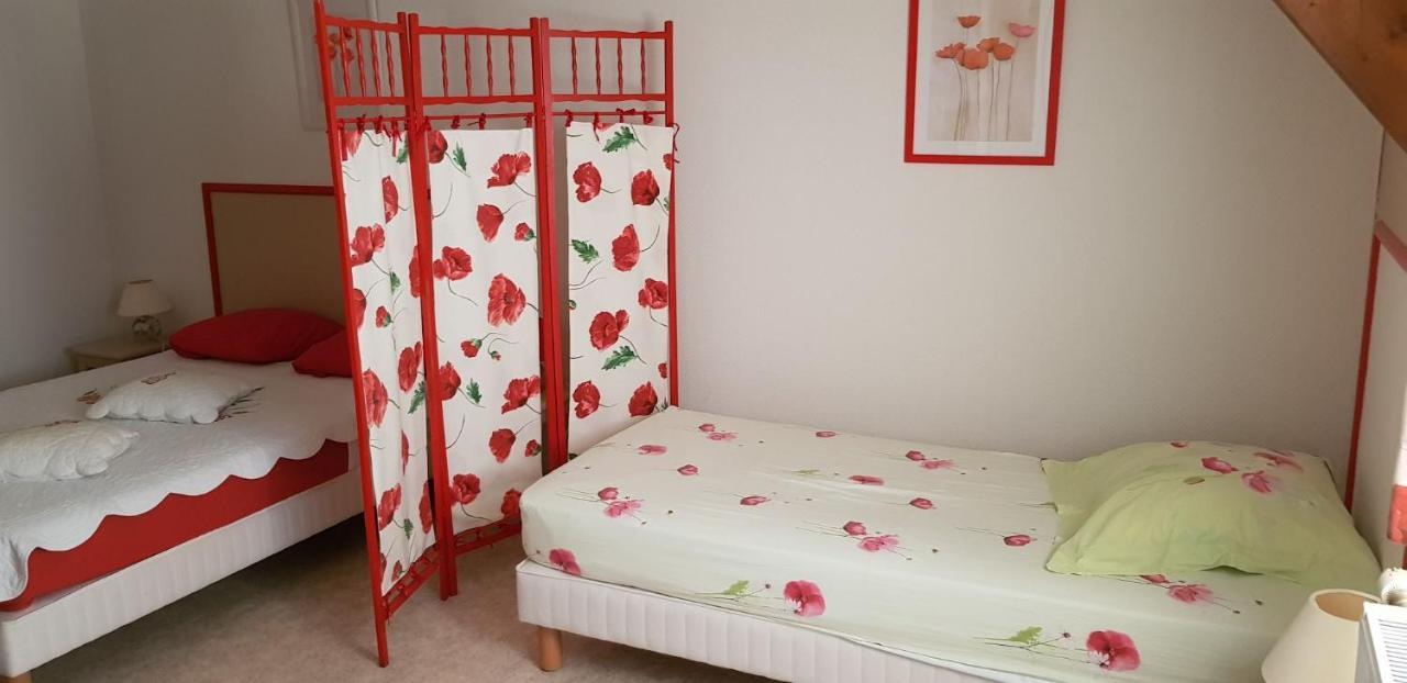 Les Brulis Chambre D'Hotes Chatillon-sur-Loire Luaran gambar