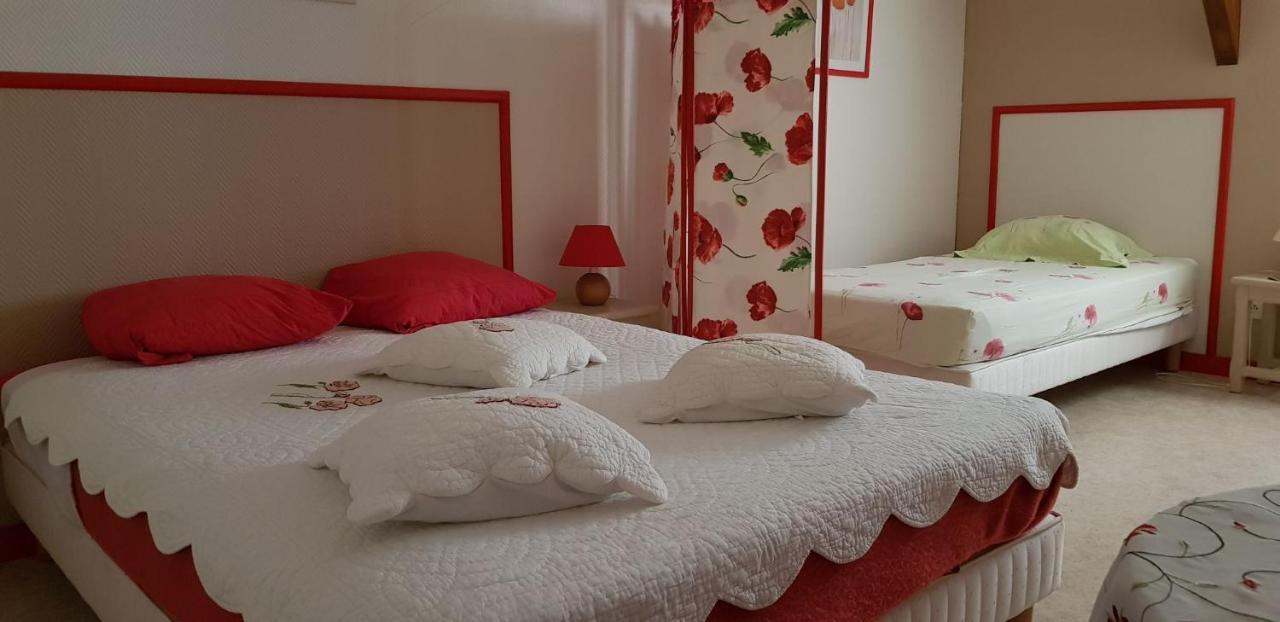 Les Brulis Chambre D'Hotes Chatillon-sur-Loire Luaran gambar